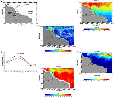 A Synoptic Assessment of the Amazon River-Ocean Continuum during Boreal Autumn: From Physics to Plankton Communities and Carbon Flux